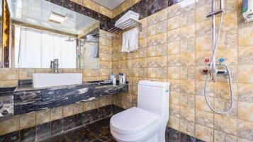 Een badkamer met een wit toilet, een wastafel en een douche.