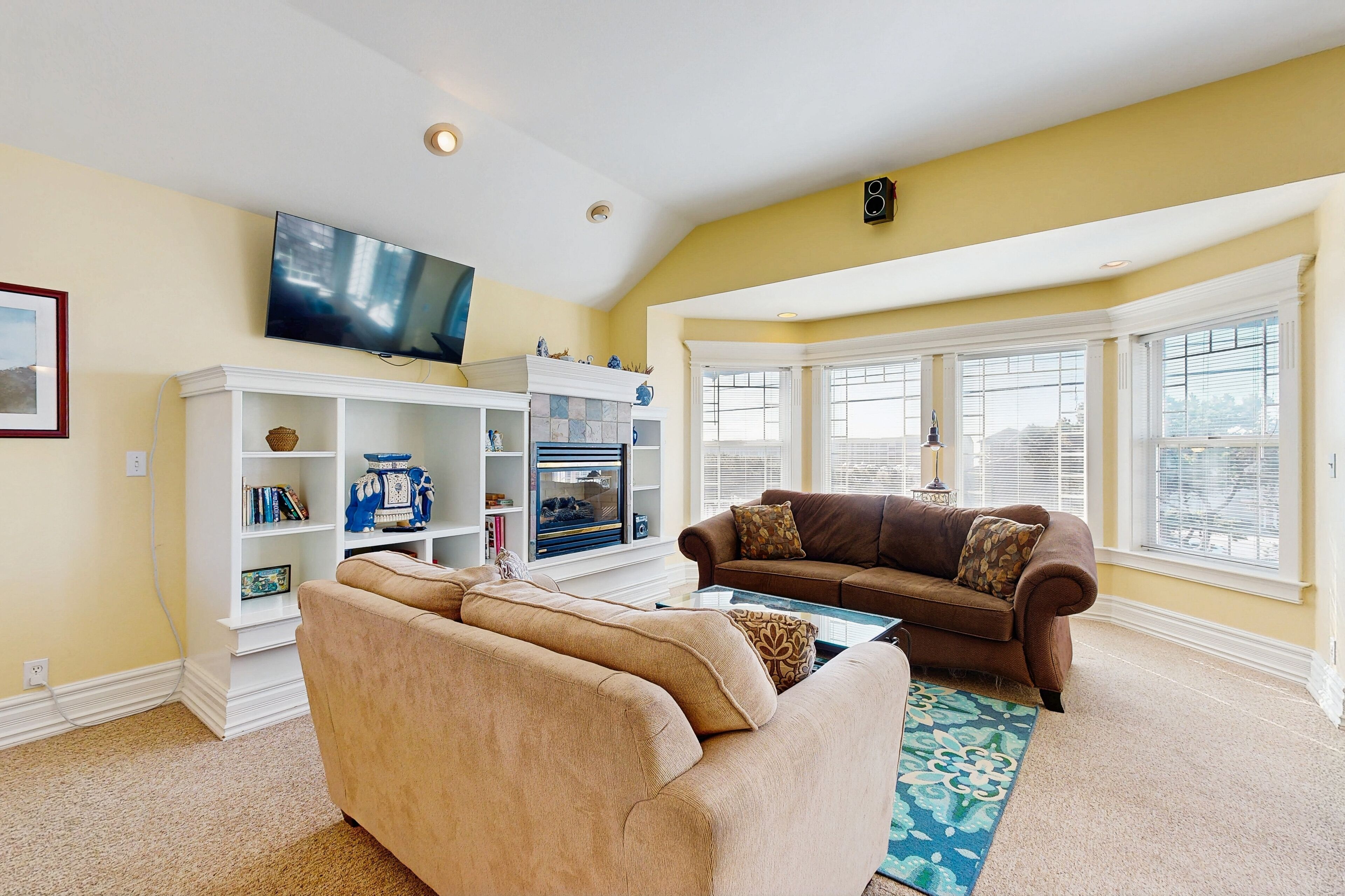 TV, fireplace, DVD player, books