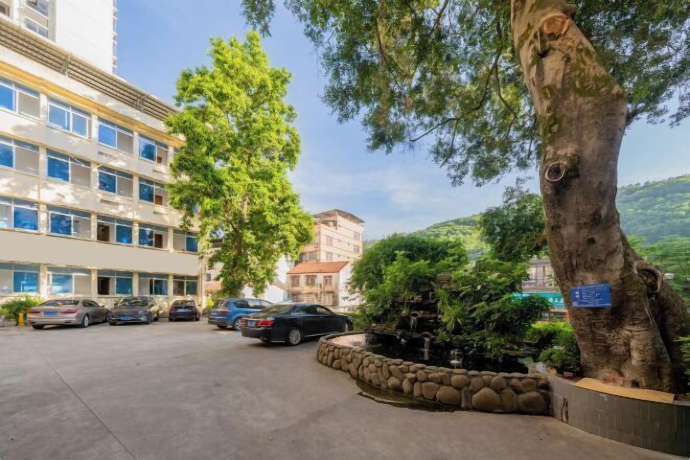 A parking area with several cars, a large tree, and a building with multiple windows.