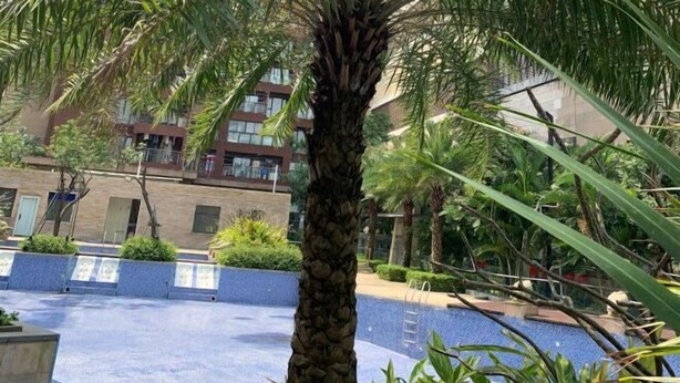 A pool area with a tiled floor, surrounded by palm trees and other greenery. - Free Space Youth Hostel (Zhanjiang)