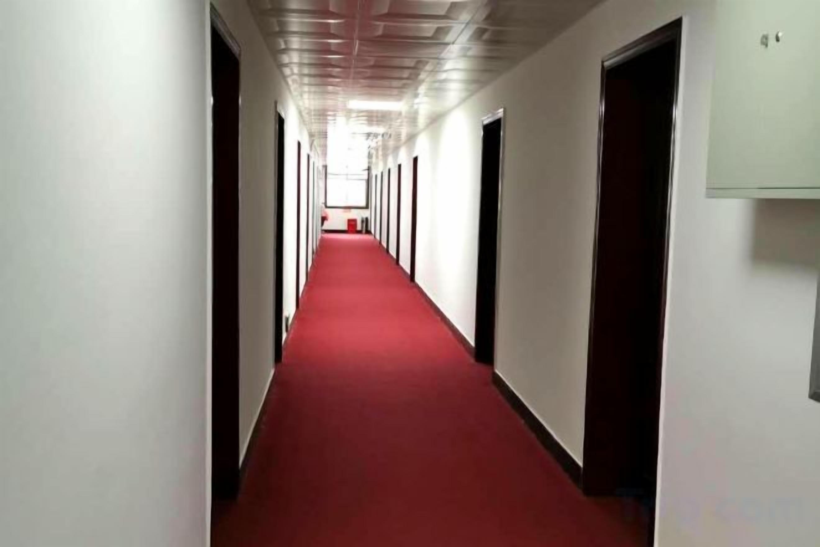 A long, narrow hallway with a red carpet, doors on both sides, and a light fixture on the ceiling.