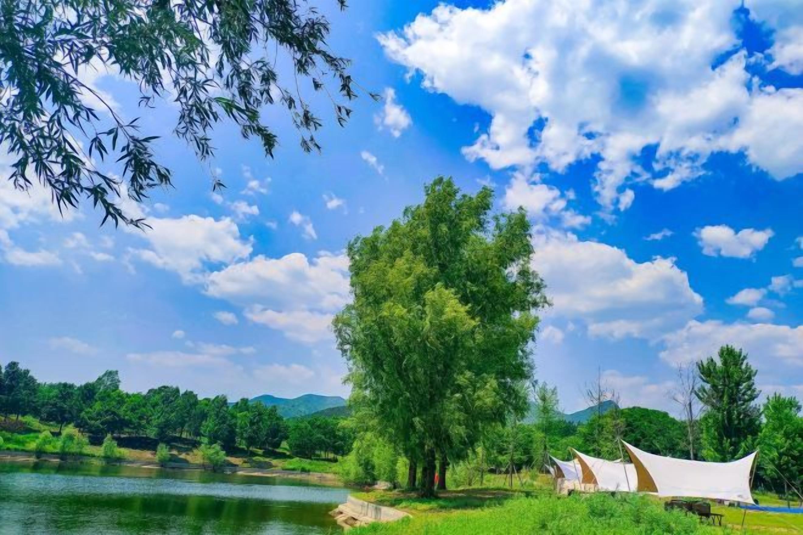 A river with trees and a clear sky.