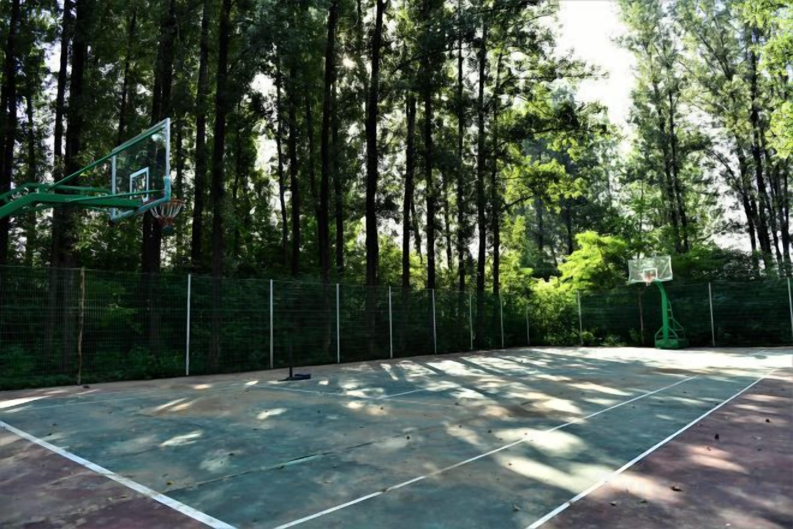 Sportsbane