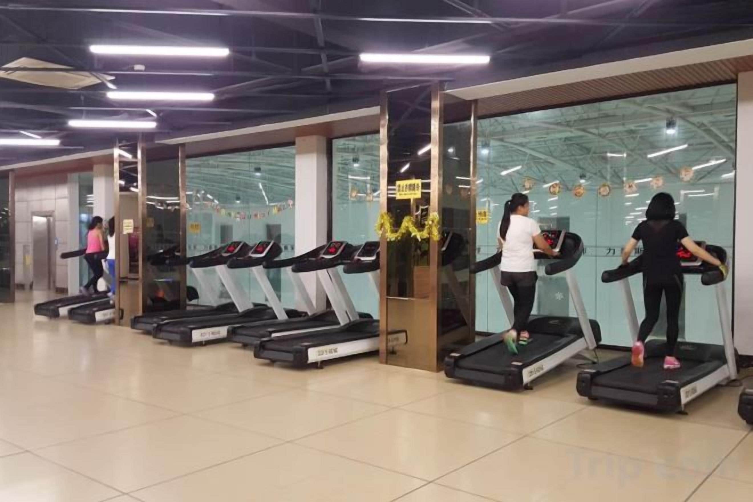 Une salle de sport avec des tapis de course alignés le long de murs en verre, une personne marchant sur un tapis de course et une autre personne marchant au loin.
