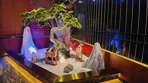 Un jardin d’intérieur décoratif comprenant un arbre, des rochers et des figurines d’animaux.