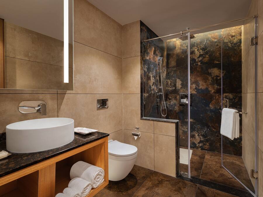 A modern bathroom with a large sink, toilet, and glass-enclosed shower.