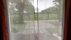 A view through a window with sheer curtains, revealing a paved outdoor area with a pathway and greenery.