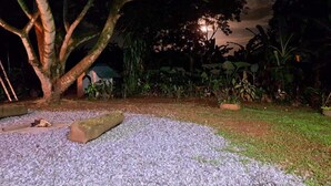 A garden area with a tree, gravel path, and a building in the background.