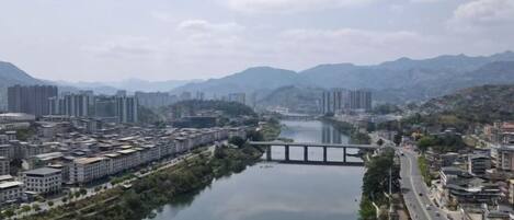 조감도