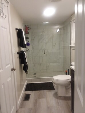 Shower, hair dryer, towels, toilet paper