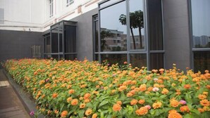Un edificio con ventanas grandes y un parterre floral en la parte delantera.