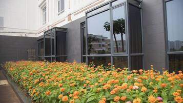 Un edificio con ventanas grandes y un jardín con flores naranjas.