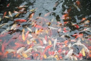 منظر من الجو على ارتفاع عالٍ