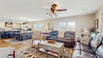 Télévision, cheminée, lecteur de DVD, livres