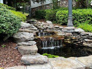 Terrain de l’hébergement 