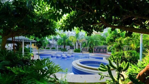 Un'area piscina immersa nel verde rigoglioso e palme.