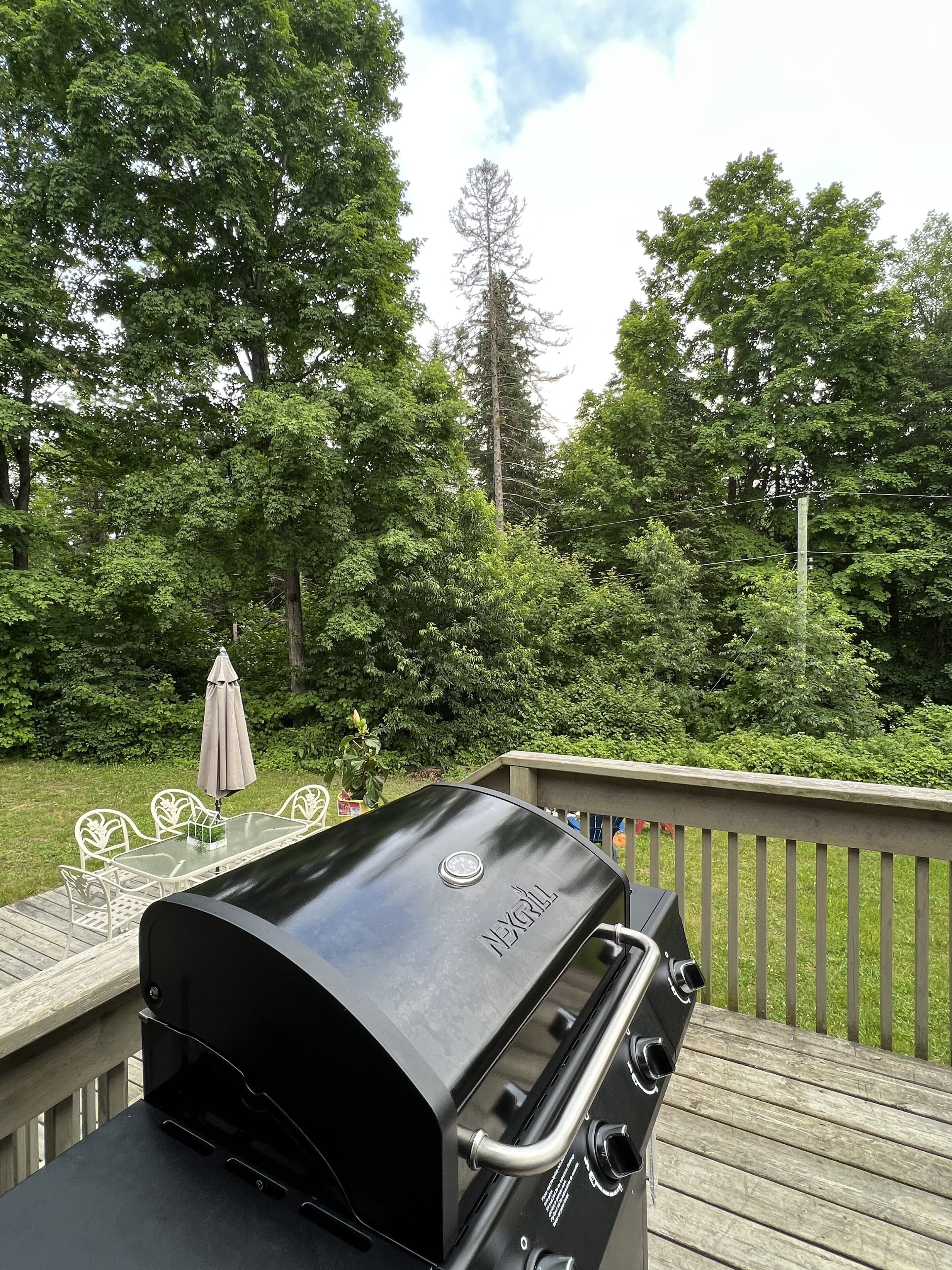 Un barbecue Weber noir sur une terrasse en bois, avec une table et des chaises en verre, le tout entouré d’une végétation luxuriante.