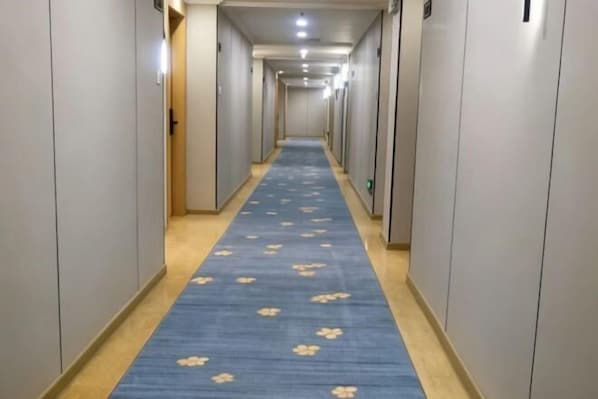 A long hallway with a blue carpet, doors on both sides, and a light-colored floor.
