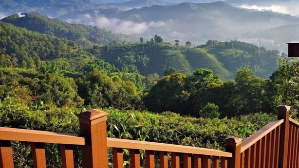 A view of terraced tea plantations with a wooden railing in the foreground. - Mijng Qiyuan Minority Theme Hotel (Mojiang)