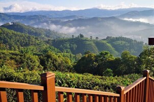 Khuôn viên nơi lưu trú