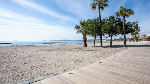 A beach with a wooden boardwalk, palm trees, and a clear sky. - Le Phenicia by Interhome (Saint Laurent du Var)
