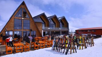 Lumi- ja hiihtourheilulajit