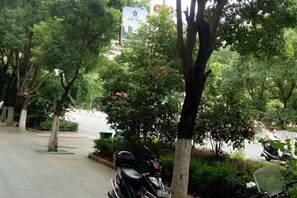 A tree-lined sidewalk with a parked scooter and a bench.