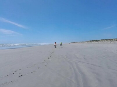 Stay off the grid immersed in native flora and fauna