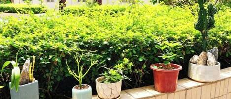 En balkon med plantekasser og udsigt til en bygning i baggrunden.