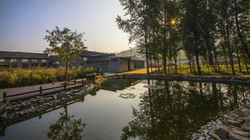 Khuôn viên nơi lưu trú