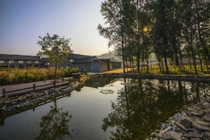 A serene outdoor area with a reflective pond, trees, and a modern building in the background.