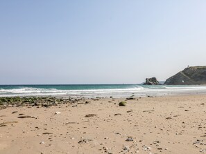 Beach nearby - Sunflower (Redruth)