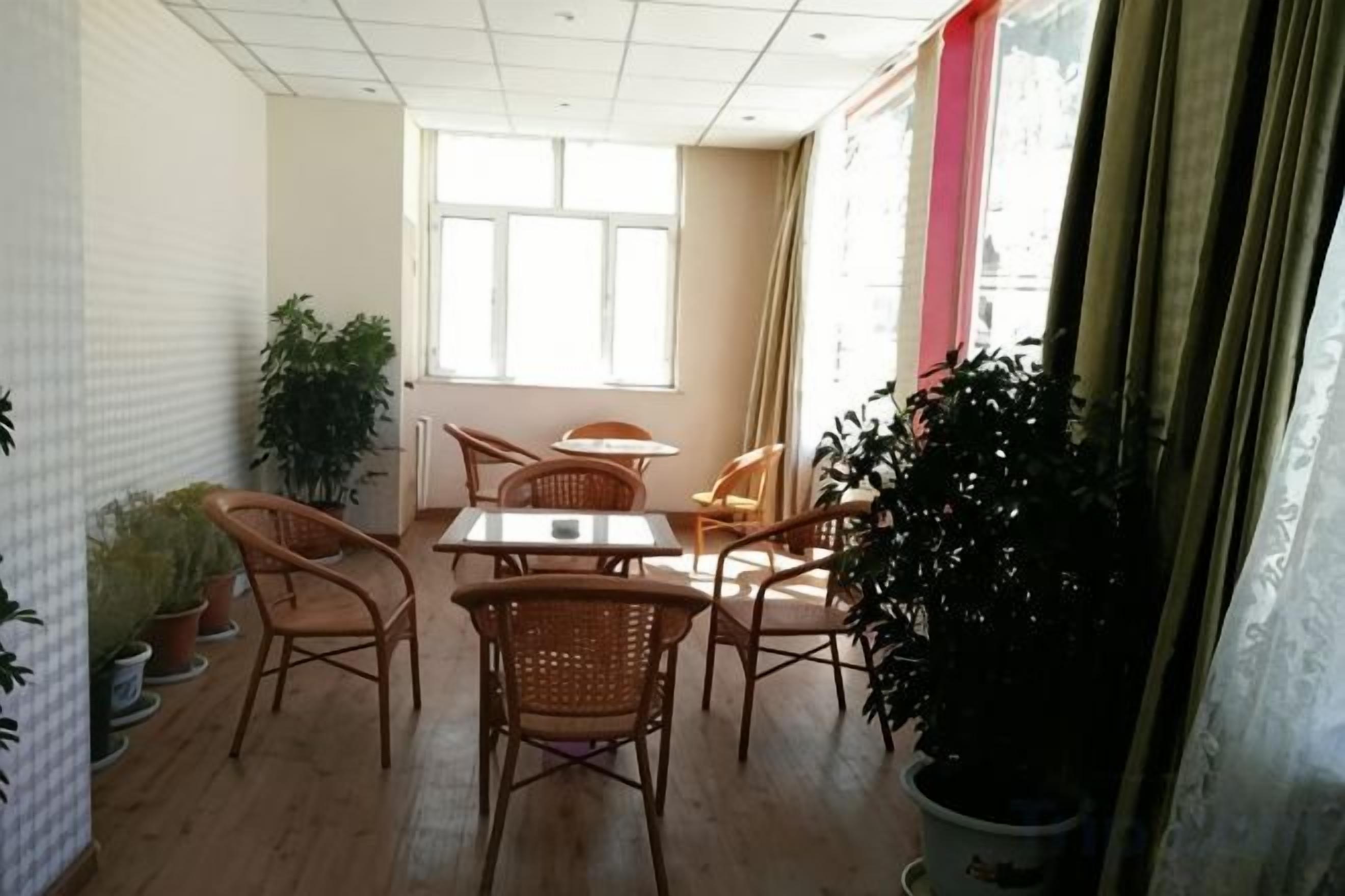 Un comedor con una mesa y sillas, plantas en macetas y un ventanal con cortinas.