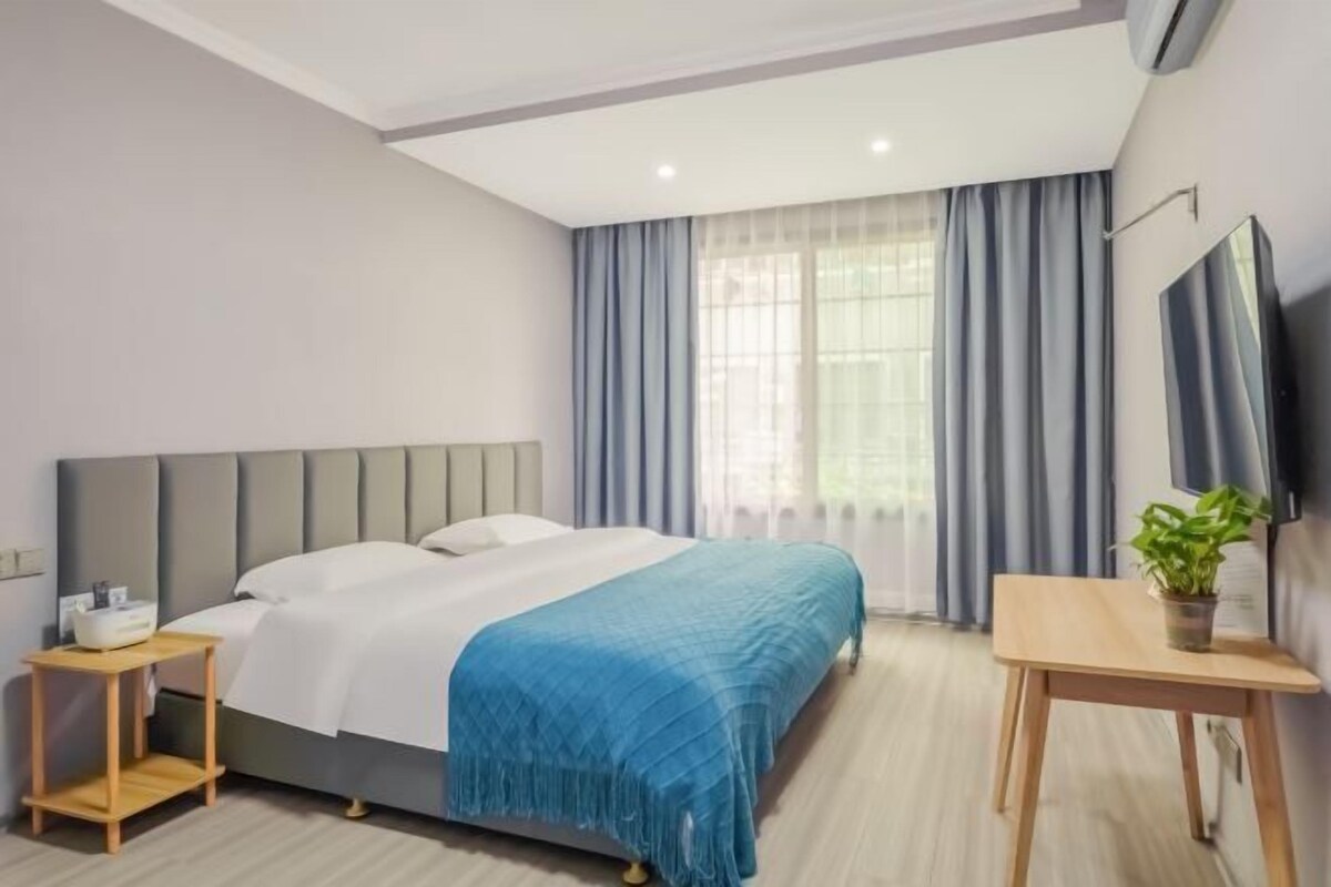 A hotel room with a bed, bedside table, TV, and a plant.
