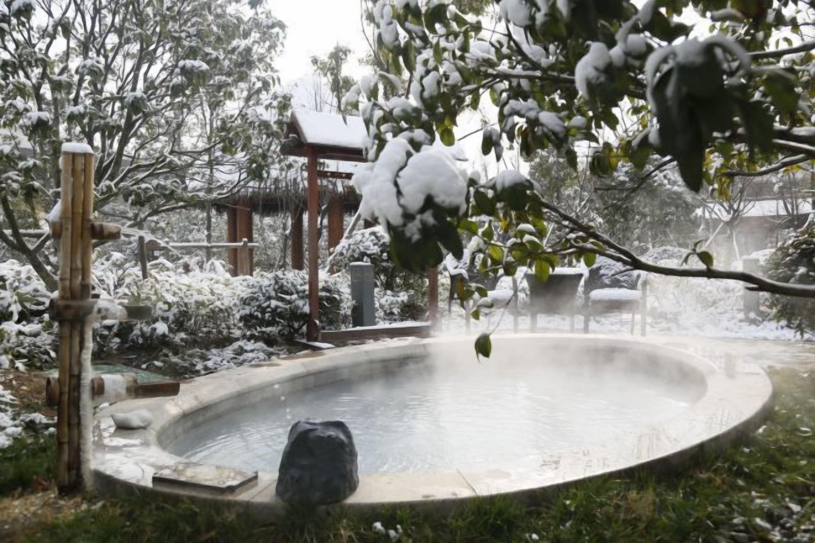 A circular pool with a hot tub, surrounded by snow-covered plants and a wooden structure.