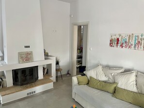 Smart TV, fireplace, books
