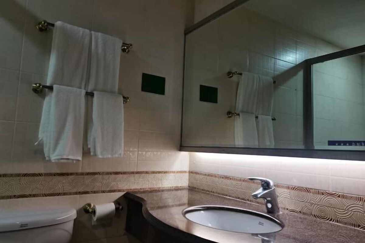 A bathroom with a sink, toilet, and a mirror. There are towels hanging on hooks.