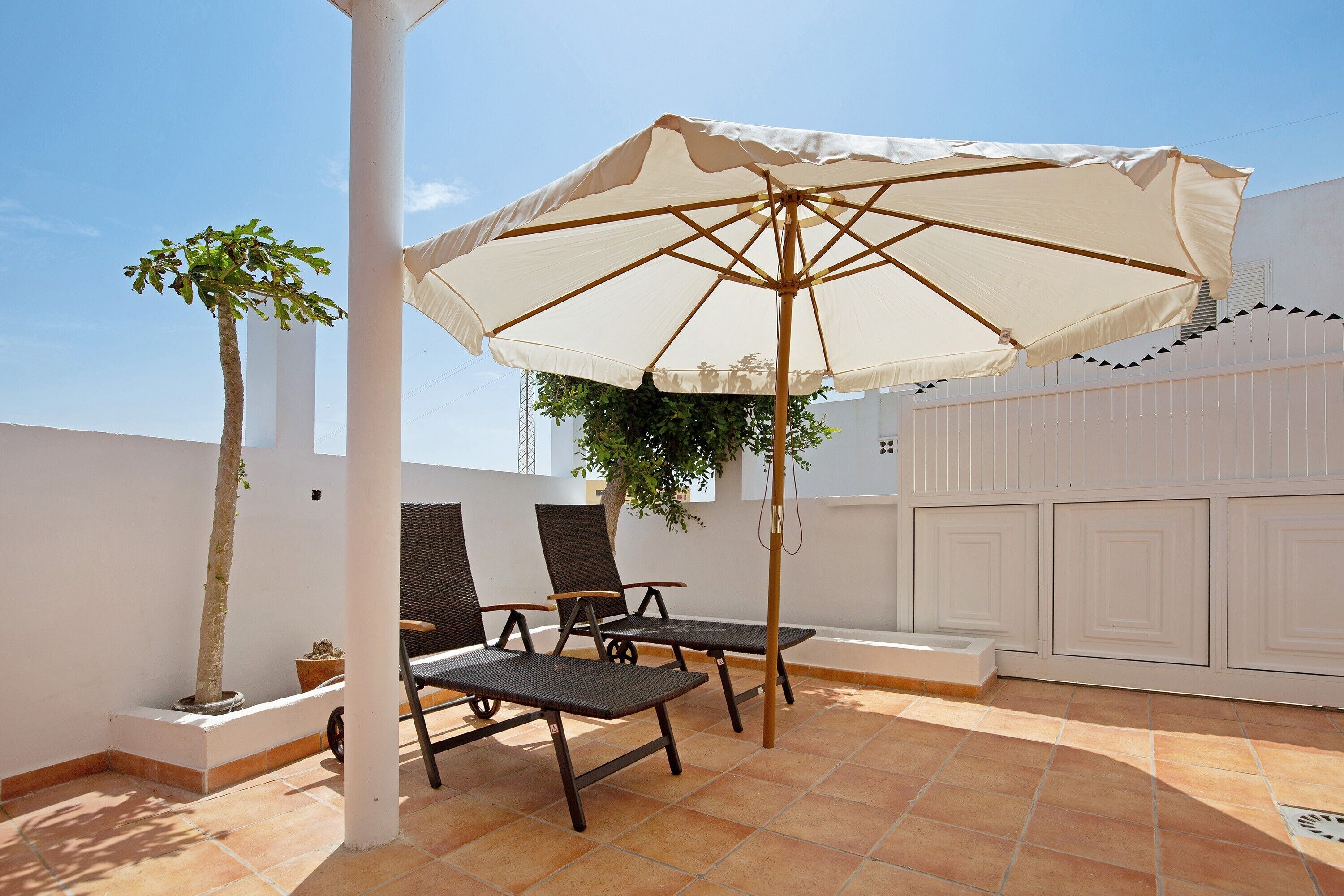 Terras