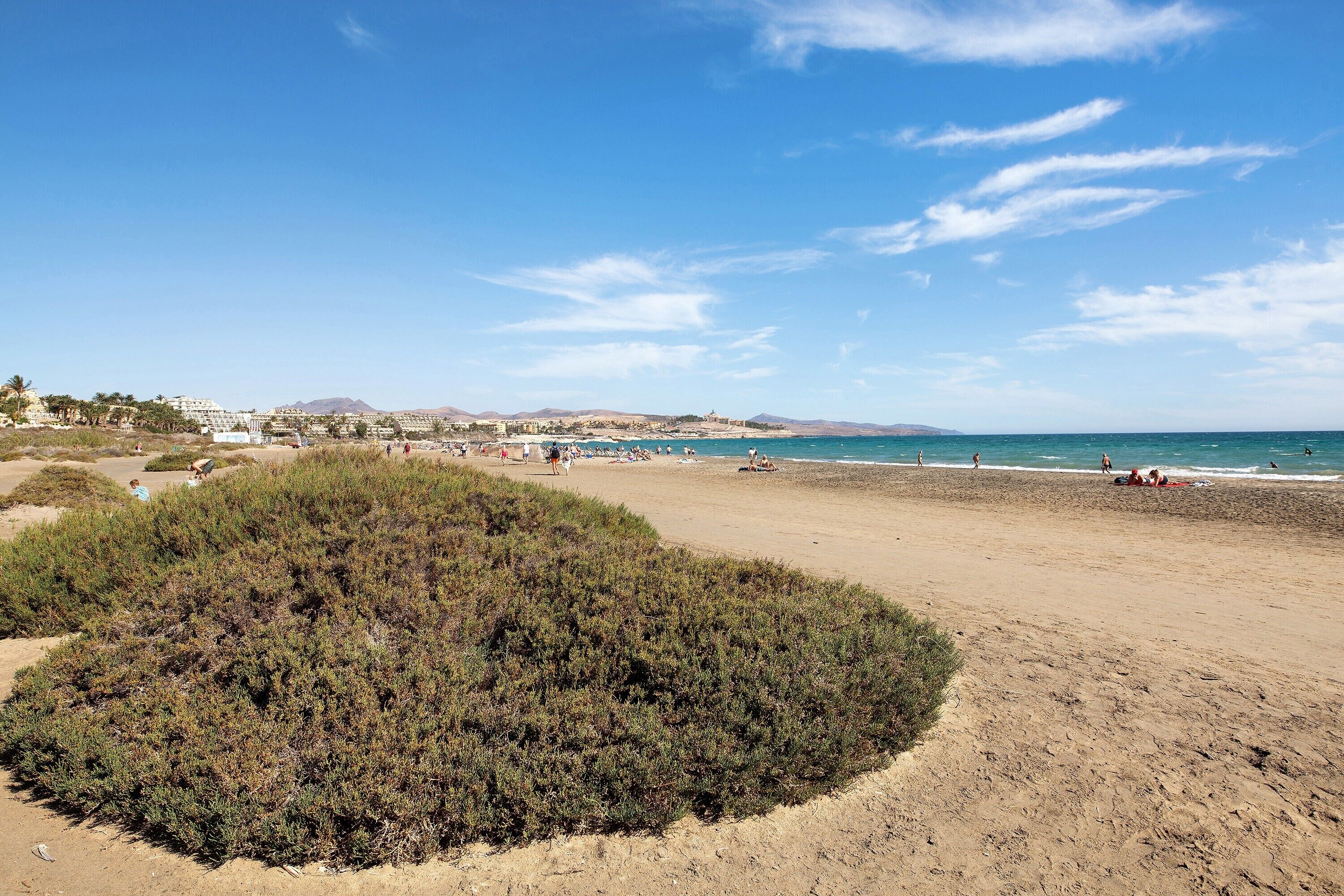 Vlak bij het strand