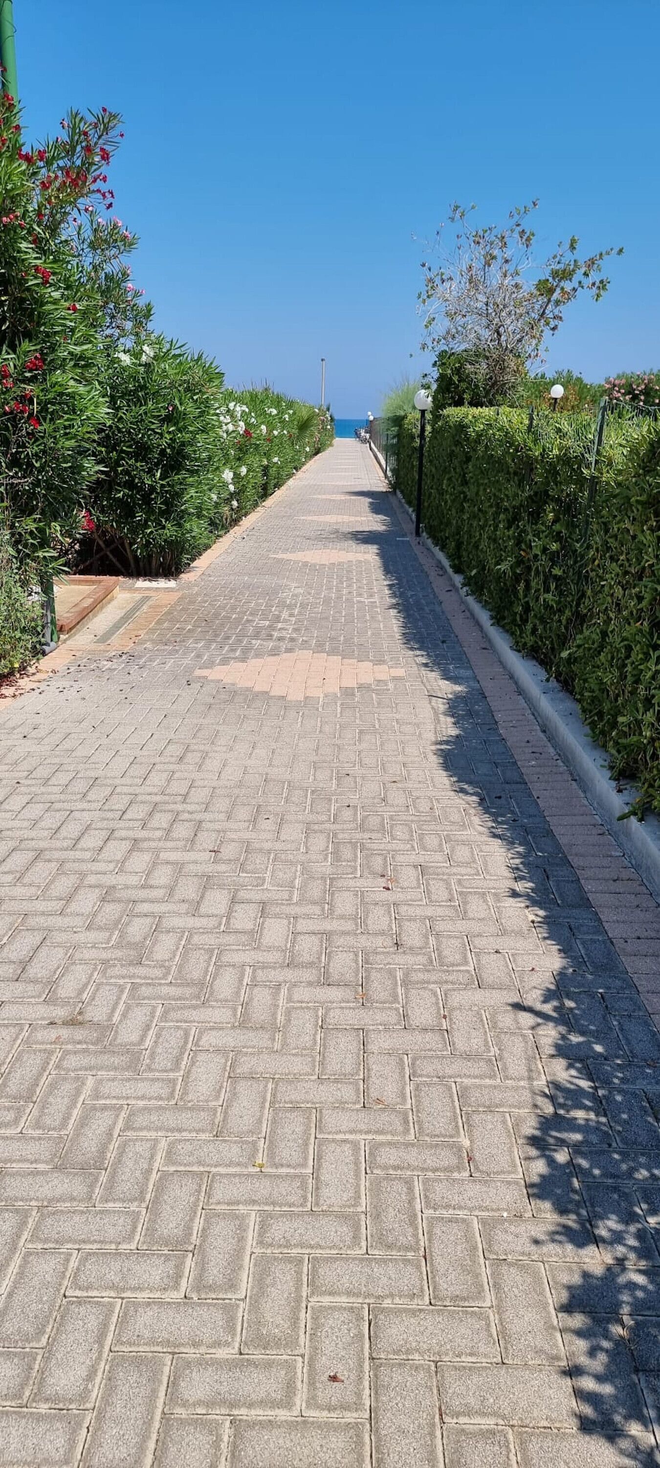 Parco della struttura