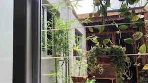Una ventana con vistas a una habitación que contiene una planta de bambú, una planta colgante y una silla de madera.