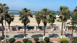 Una playa con palmeras y una carretera en primer plano.