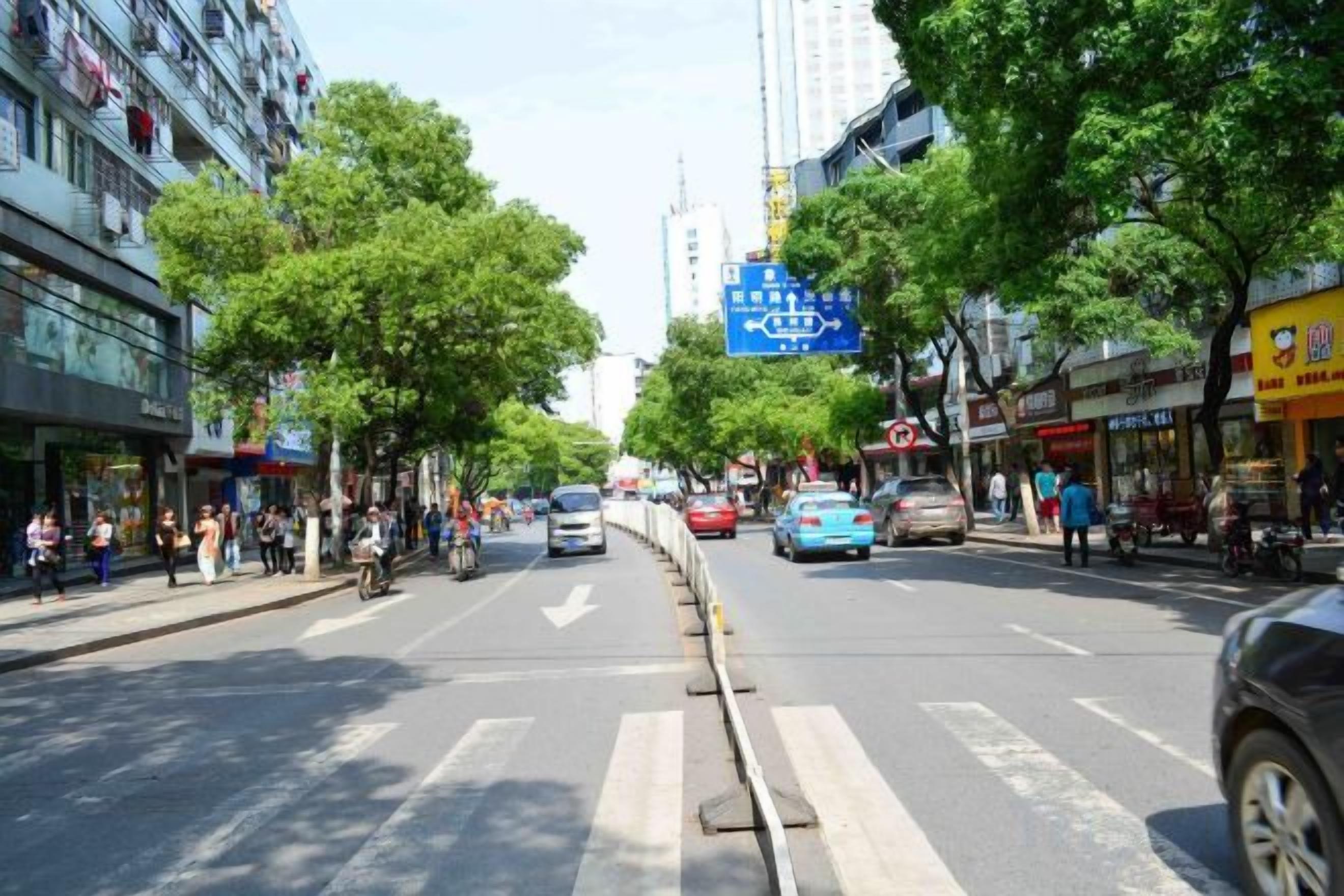 A city street with buildings, trees, and vehicles.