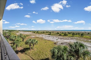 A coastal landscape with a sandy beach, grassy areas, and scattered trees.
