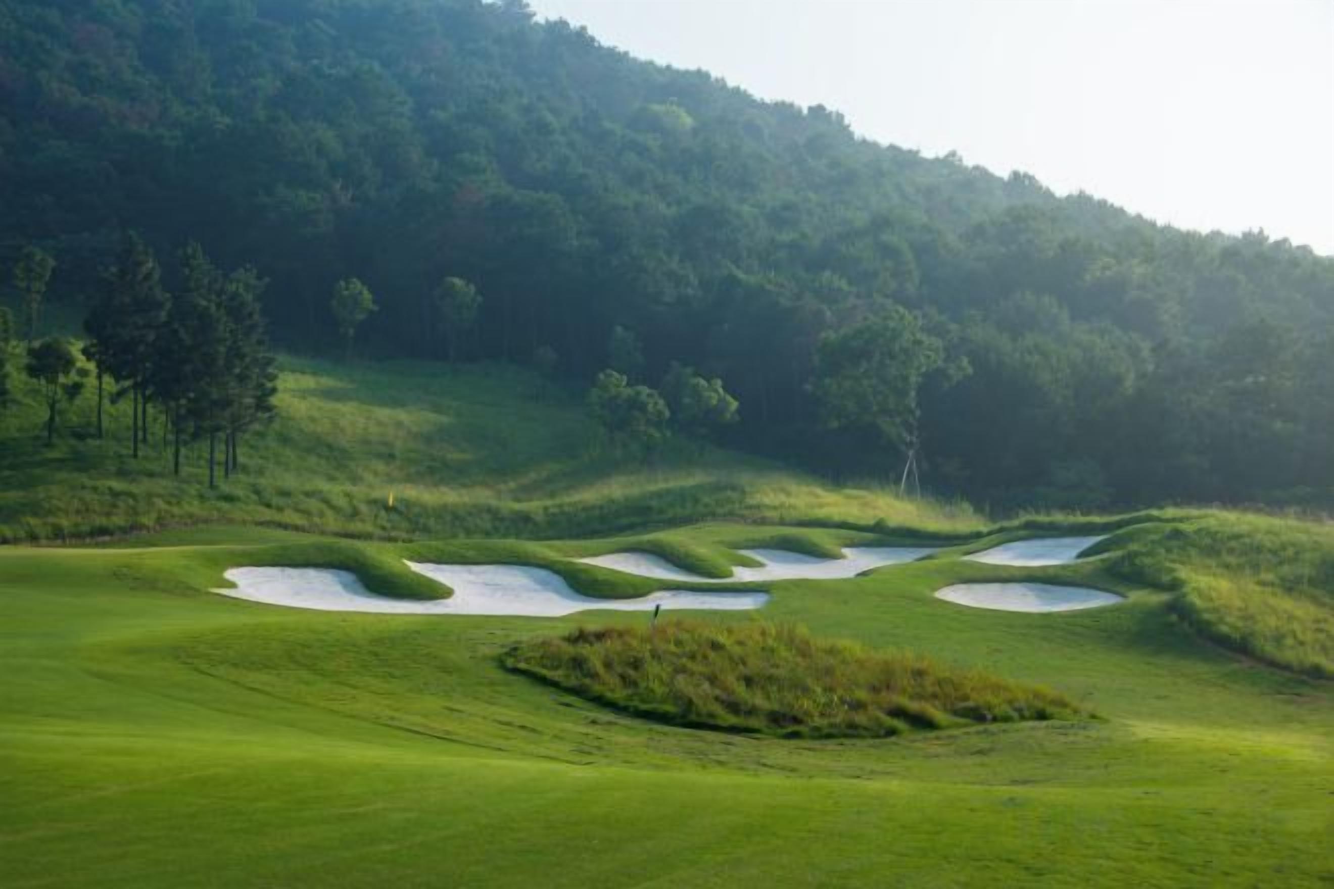 Um campo de golfe com bunkers de areia e uma encosta arborizada ao fundo.