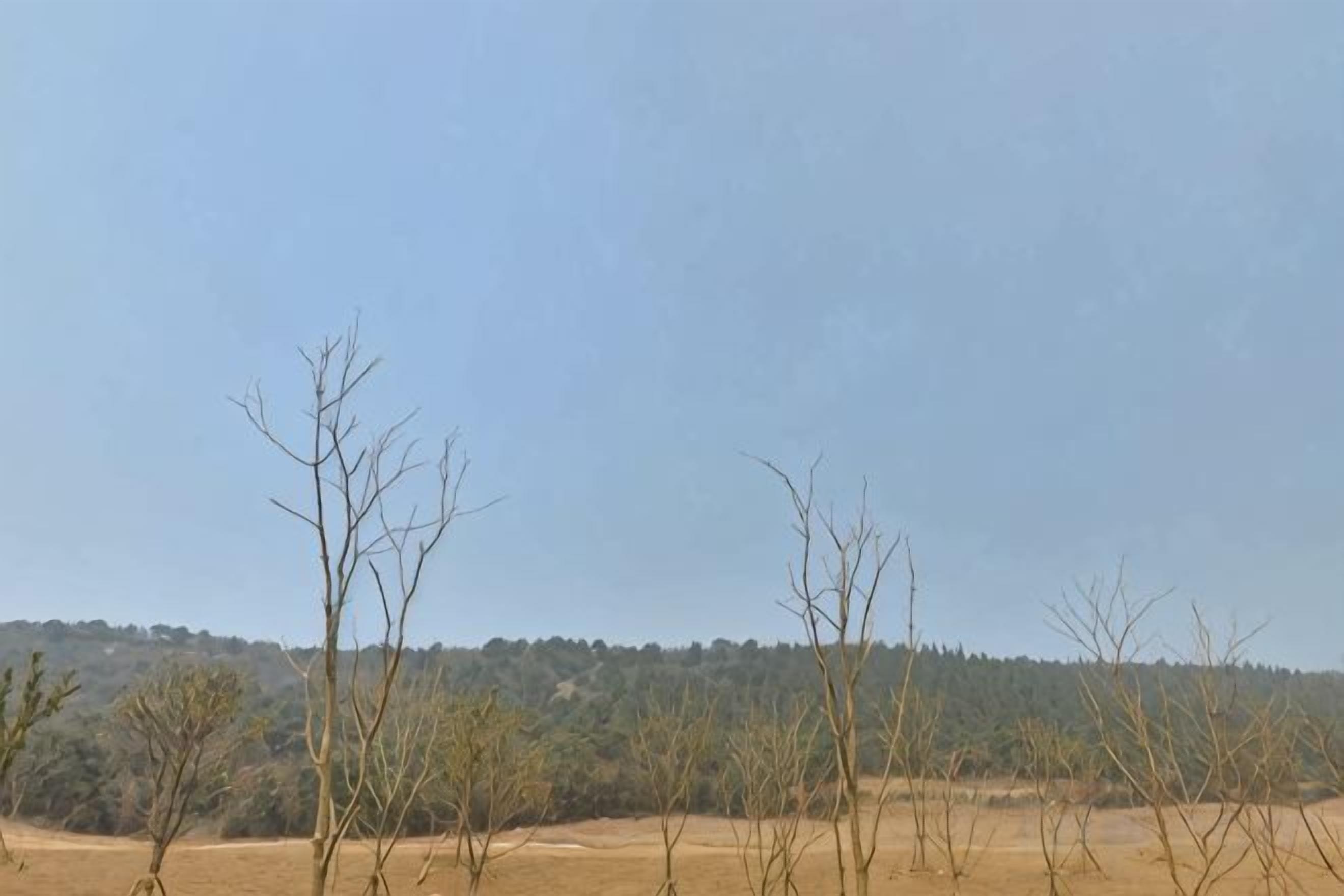 A landscape with sparse trees and a clear sky.