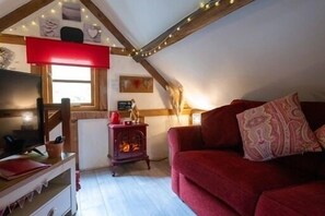 Smart TV, fireplace, DVD player, books