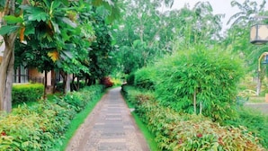 A pathway flanked by lush greenery and a building in the background. - Yabulun Health & Wellness Holiday Hotel (Sanya)