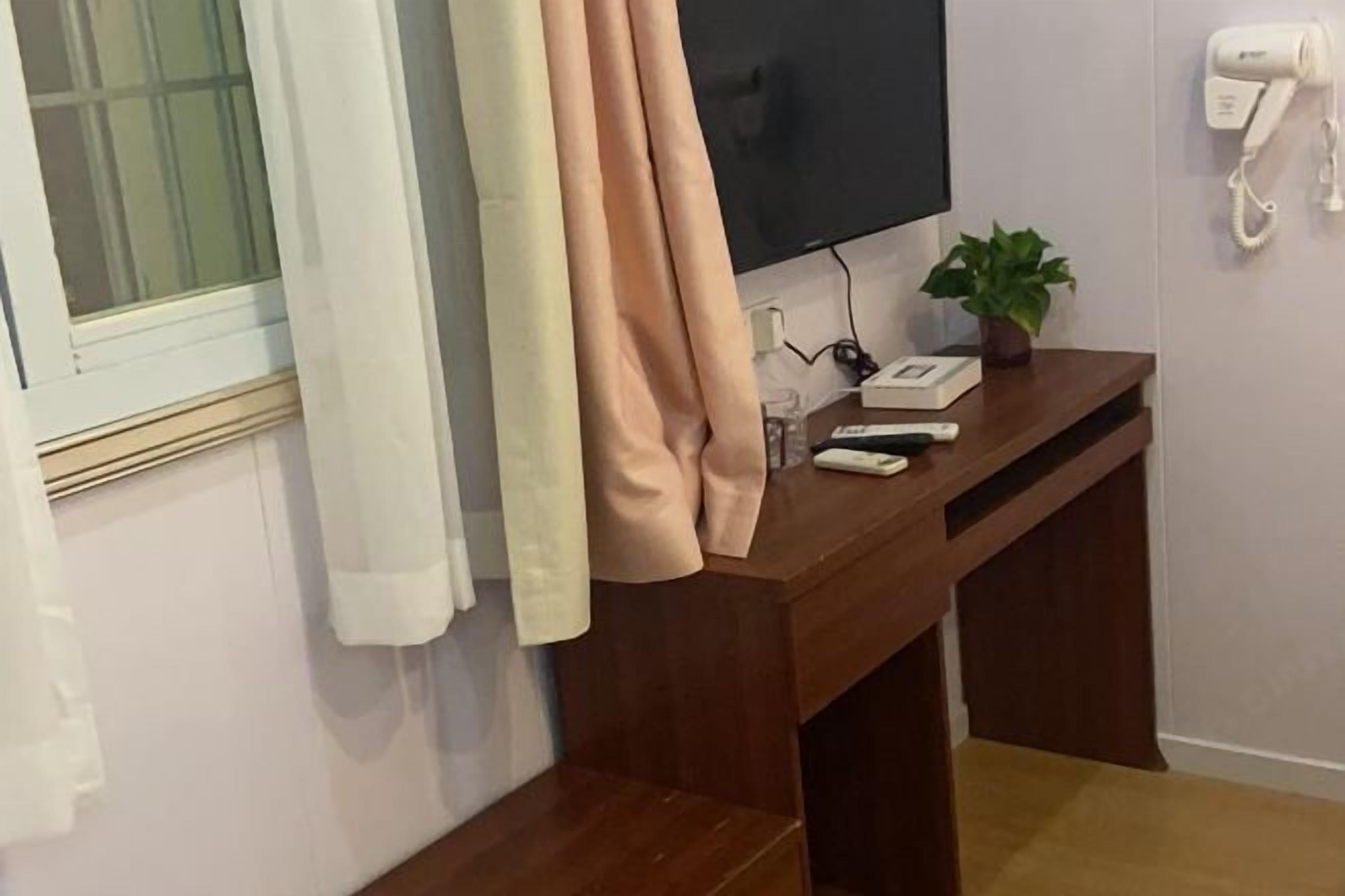 A room with a wooden desk, a television, a hairdryer, and a potted plant.