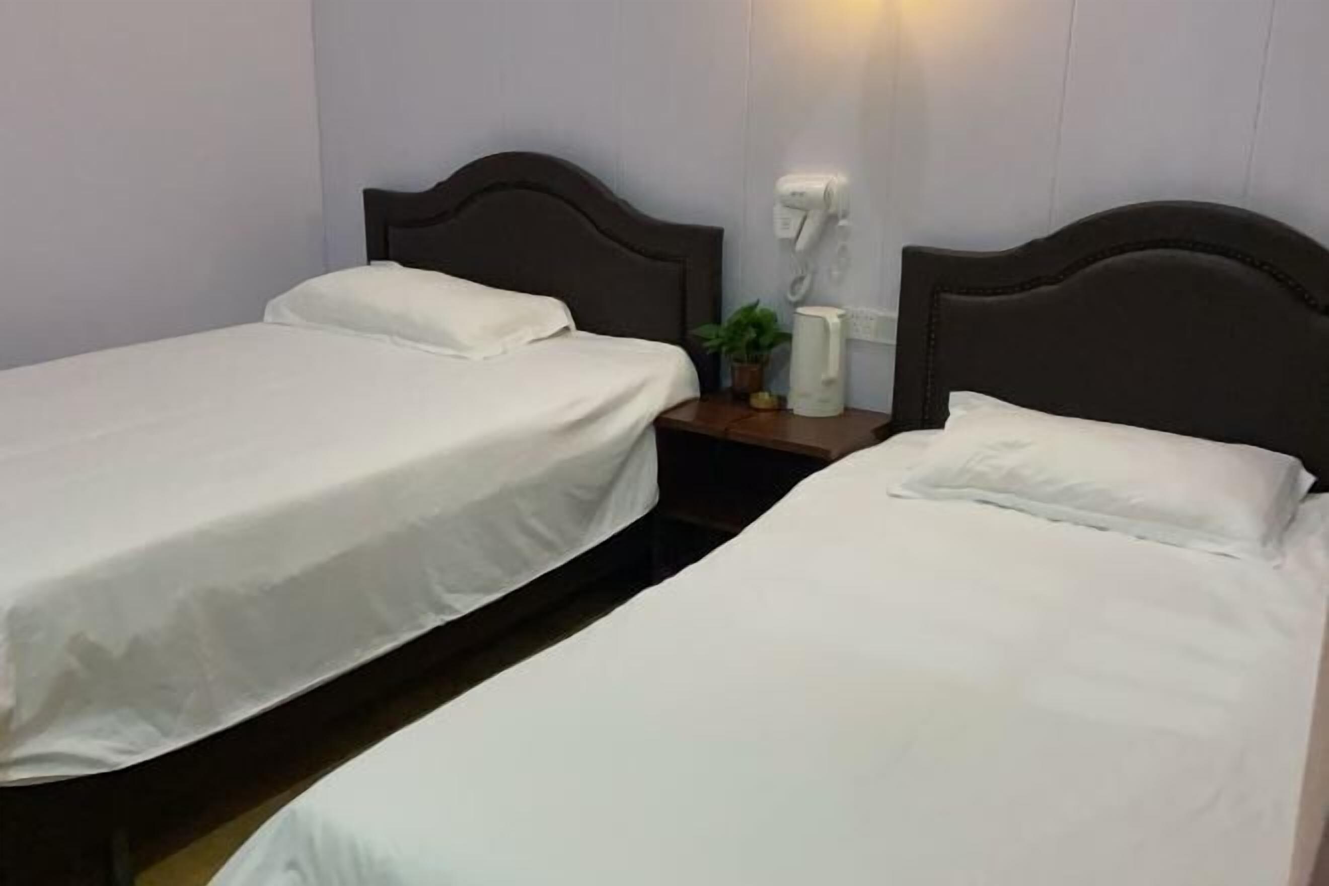A hotel room with two single beds, a nightstand with a lamp, a hairdryer, and a small plant.